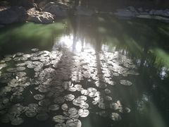 -蠡湖大桥公园