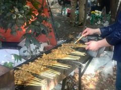 野外烧烤活动-亮子·东北特色烧烤(复悦荟店)