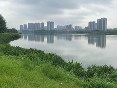 -飞来湖湿地公园