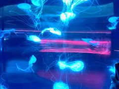 -常州海昌海洋探索馆