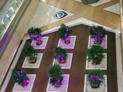 -南京禄口机场雅高铂尔曼大酒店