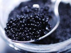 鱼子酱-广州富力君悦大酒店·凯菲厅