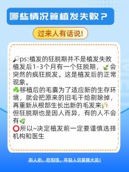 -雍禾植发全国连锁