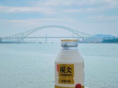 -芒洲湿地公园