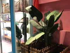 -爱丽优甜ellyelly