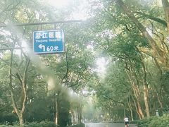-浙江医院(灵隐院区)