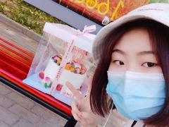 -丽莎蓓甜CAKE生日蛋糕·动物奶油(石家庄店)