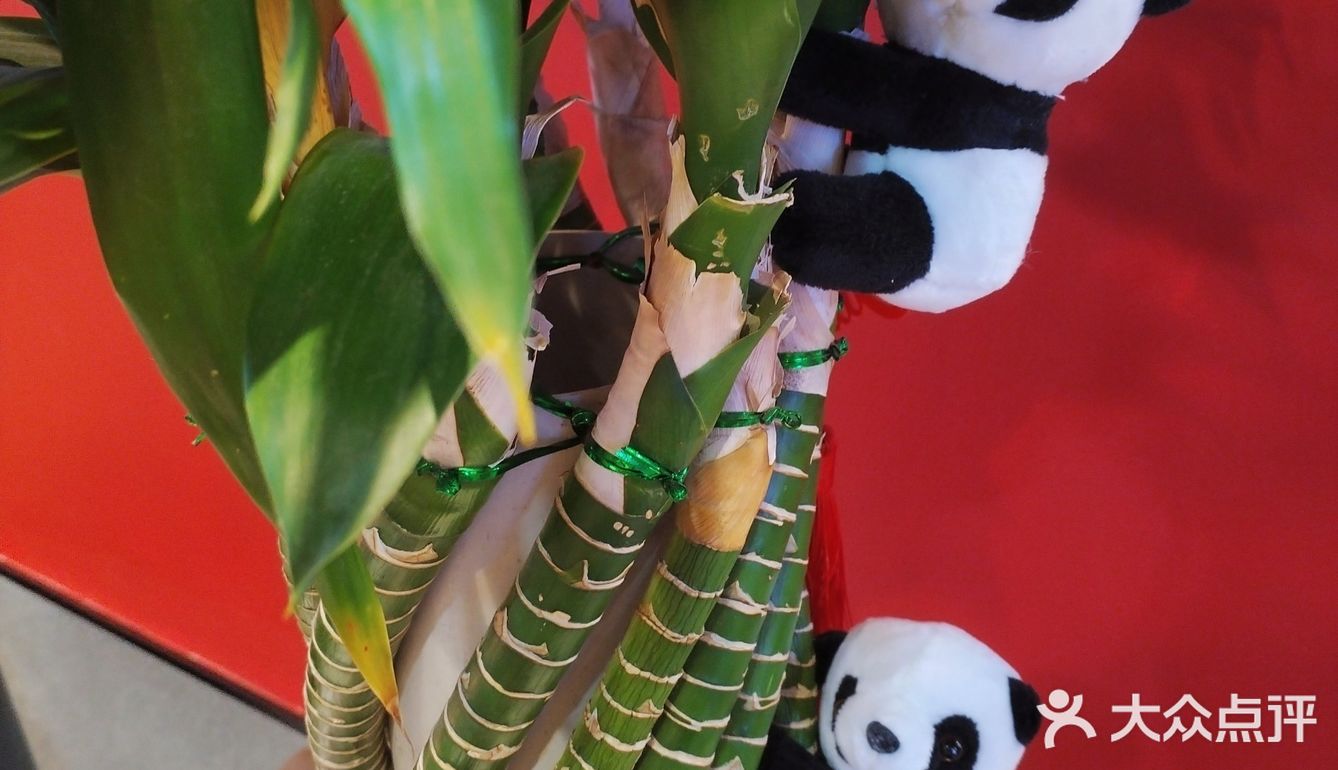 一鱼两吃｜这家烤鱼店都把我香迷糊了[呲牙]