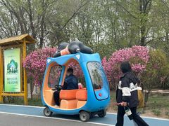 -大青山野生动物园