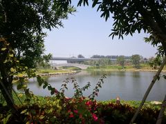 -宝安西湾红树林湿地公园