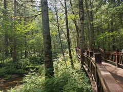 -汤旺河林海奇石景区