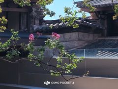 -巍山古城