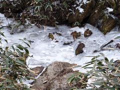 -黄山排云型旅酒店餐厅