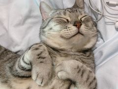 -漓江又一軒·广西菜·桂林米粉(梅林店)