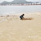 门票0，停车费0，不出市，带娃看海