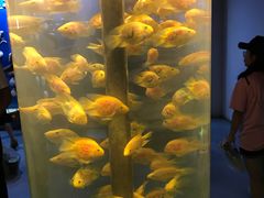 -苏州海洋馆