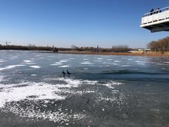 -大兴滨河森林公园