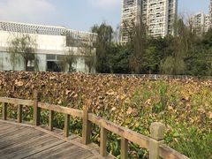 -三圣花乡旅游区