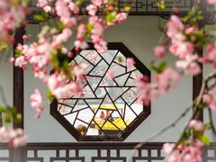 -莫愁湖公园