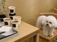 -常识咖啡common sense(春熙路店)
