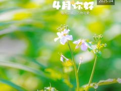 -南桥帮(昆百大·泰业城店)