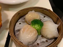 虾饺皇-禄興記香港大排档(歌斐中心店)