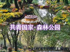 -上海共青森林公园