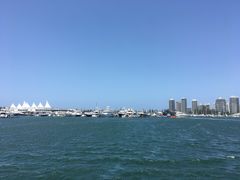 -黄金海岸