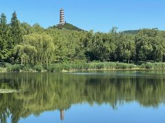 -北坞公园