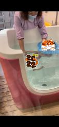 -佳宝全套房精品月子会所(大华店)