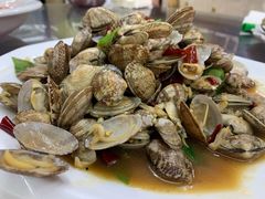 辣炒花蚬-望海潮海鲜店 特色家常菜(在海一方店)