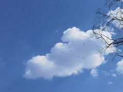 -颐和园