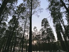 -渌洋湖湿地公园