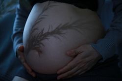 点击看大图 -初·印象孕妇儿童摄影馆