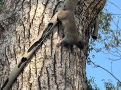 -杭州张苍水先生祠
