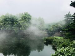 -庐山风景区花径公园