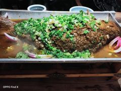 -树厨贵州菜(大十字店)
