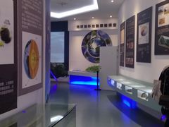 -金钉子远古世界景区