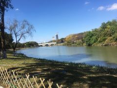 -海珠湖公园