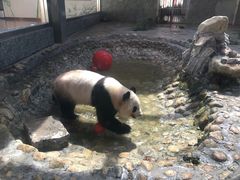 -西安秦岭野生动物园