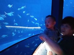 -沈阳海洋探索中心