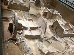 -洛阳周王城天子驾六博物馆