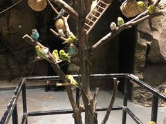 -zoonana室内动物园(东方福来德店)