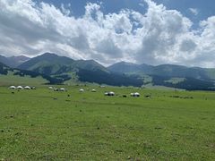 -新疆那拉提国家旅游度假区
