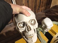 -长藤鬼校(龙翔店)