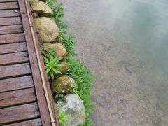 -祁门牯牛降观音堂风景区