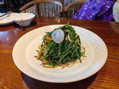 沙葱拌豆丝-沙力海西北特色美食烤肉店(北门坡店)