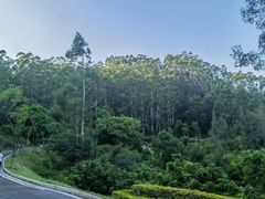 -草庵摩尼教遗址公园