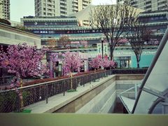 -汉巴味德自助餐厅(嘉定宝龙广场店)