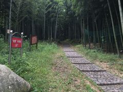 -天下银坑